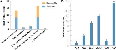 Evaluation and identification of powdery mildew-resistant genes in 137 wheat relatives